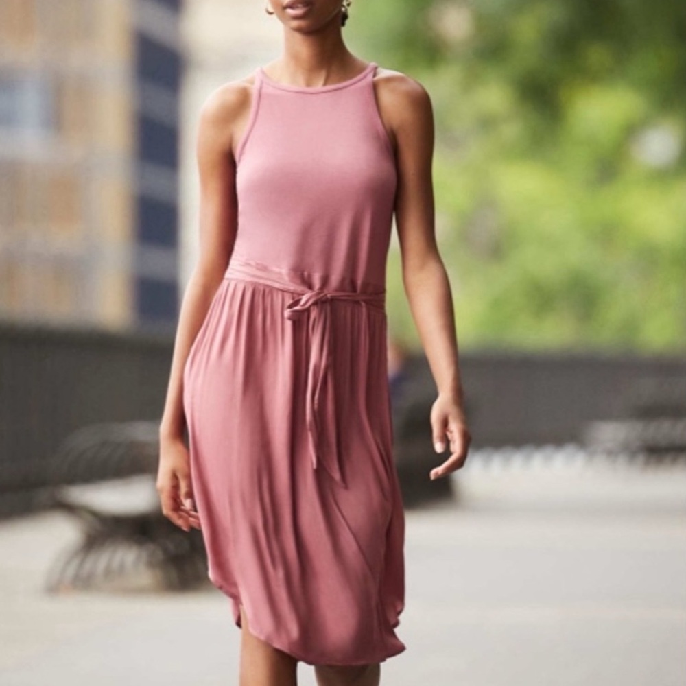 NWT LOFT  Flare  Flowy Ethereal Rose Dress, size 10